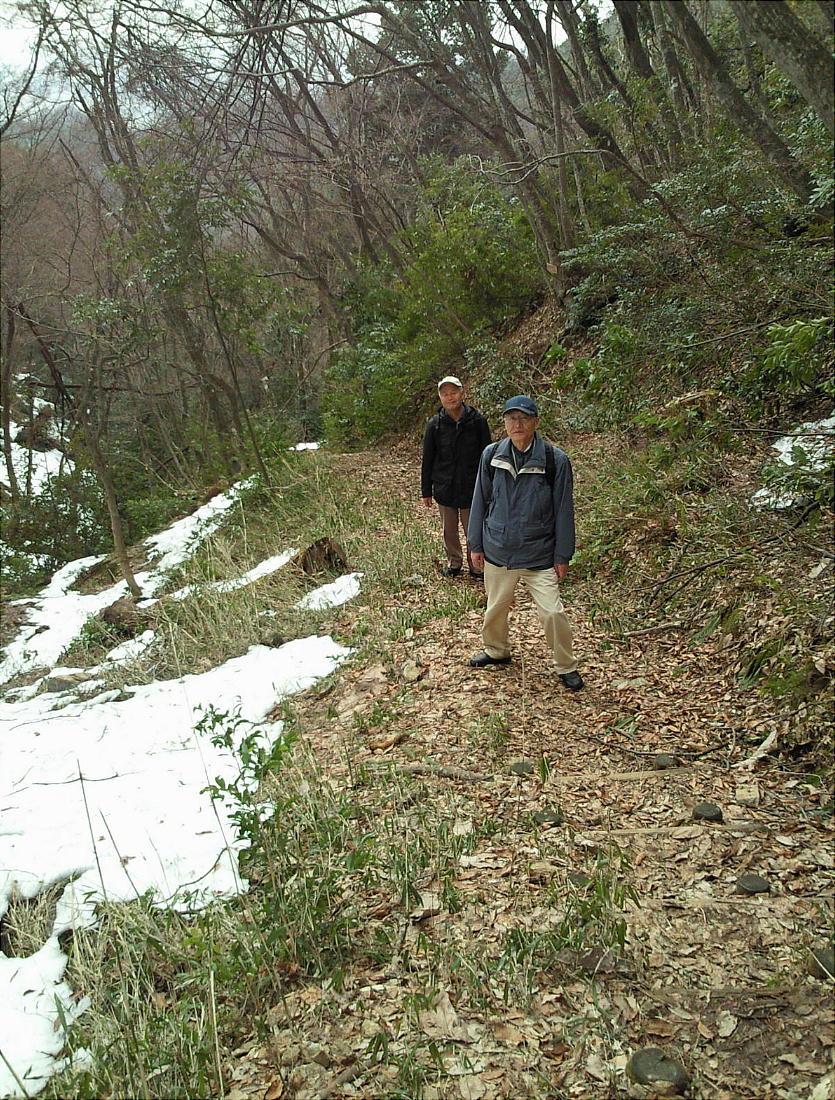 雪の華 の掲示板投稿写真＆画像